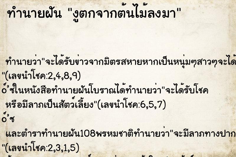 ทำนายฝัน งูตกจากต้นไม้ลงมา ทำนายฝัน งูตกจากต้นไม้ลงมา