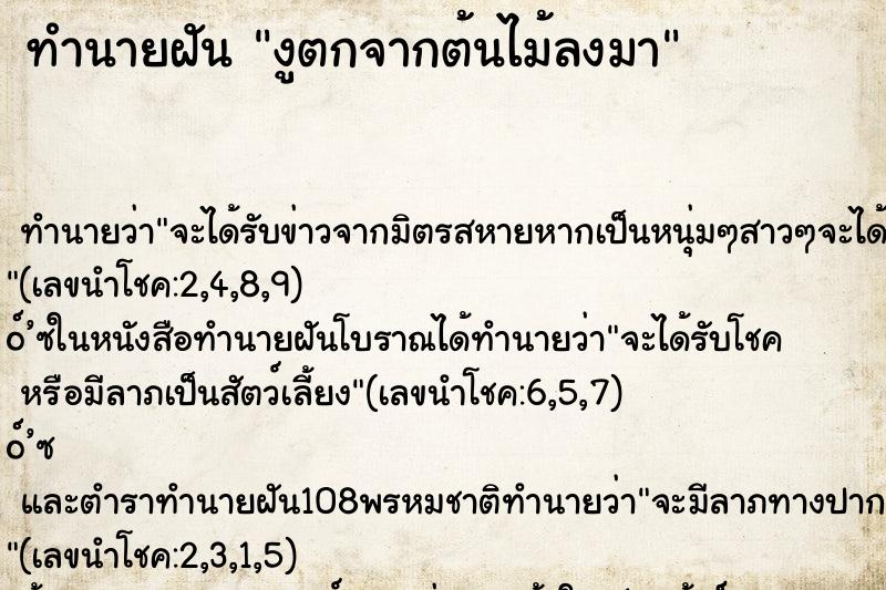 ทำนายฝัน งูตกจากต้นไม้ลงมา ตำราโบราณ แม่นที่สุดในโลก