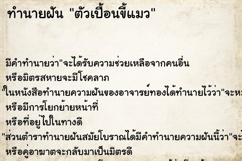 ทำนายฝัน ตัวเปื้อนขี้แมว ทำนายฝัน ตัวเปื้อนขี้แมว