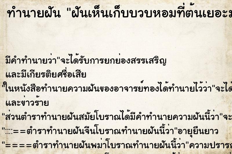 ทำนายฝัน ฝันเห็นเก็บบวบหอมที่ต้นเยอะมาก ทำนายฝัน ฝันเห็นเก็บบวบหอมที่ต้นเยอะมาก