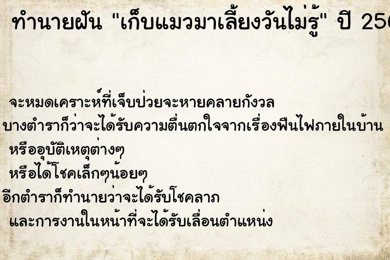ทำนายฝันเก็บแมวมาเลี้ยงวันไม่รู้ ทำนายฝันทำนายฝันเก็บแมวมาเลี้ยงวันไม่รู้