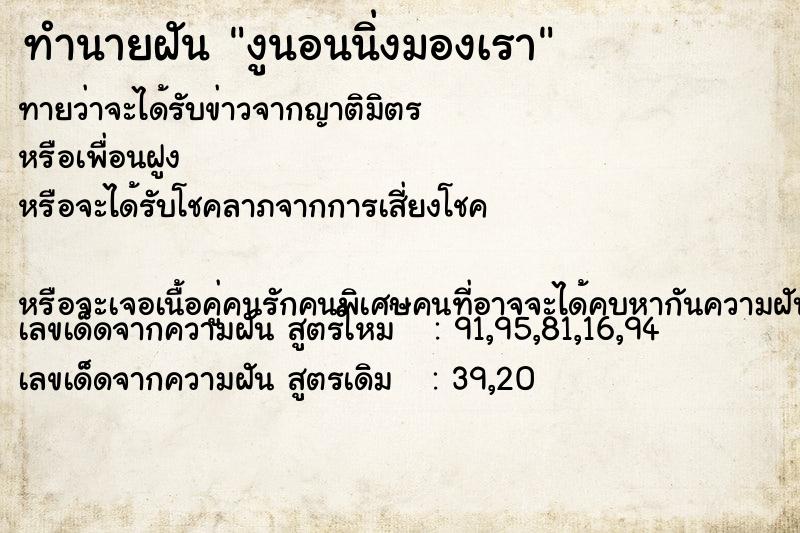 ทำนายฝันงูนอนนิ่งมองเรา ทำนายฝันทำนายฝันงูนอนนิ่งมองเรา