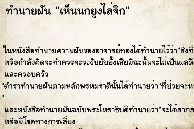 ทำนายฝัน เห็นนกยูงไล่จิก ทำนายฝัน เห็นนกยูงไล่จิก