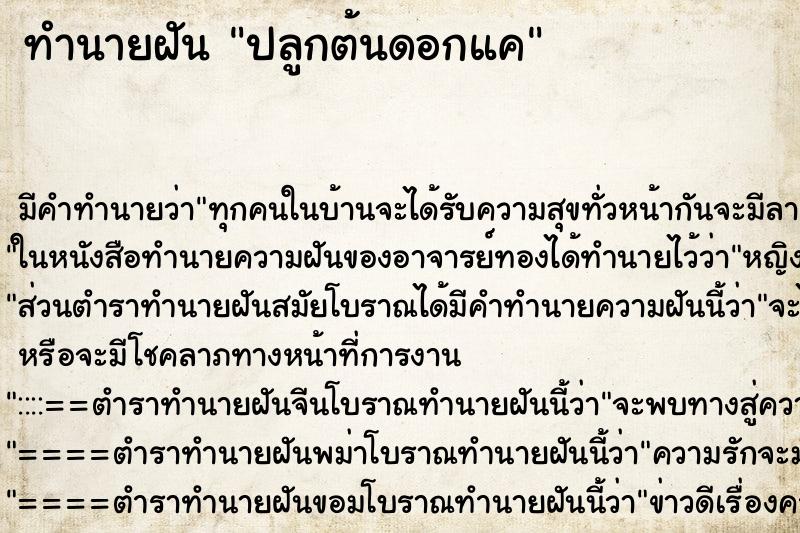 ทำนายฝัน ปลูกต้นดอกแค