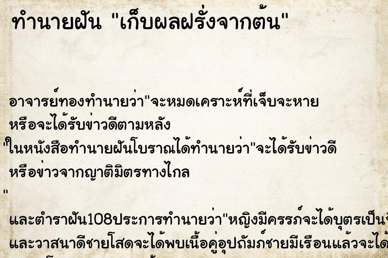 ทำนายฝัน เก็บผลฝรั่งจากต้น ทำนายฝัน เก็บผลฝรั่งจากต้น