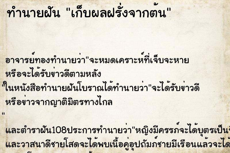 ทำนายฝัน เก็บผลฝรั่งจากต้น ตำราโบราณ แม่นที่สุดในโลก