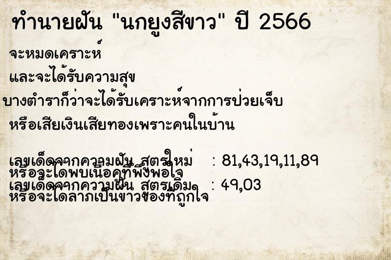 ทำนายฝันนกยูงสีขาว ทำนายฝันทำนายฝันนกยูงสีขาว