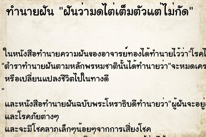 ทำนายฝันฝันว่ามดไต่เต็มตัวแต่ไม่กัด ทำนายฝันทำนายฝันฝันว่ามดไต่เต็มตัวแต่ไม่กัด