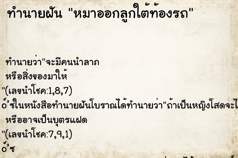 ทำนายฝันหมาออกลูกใต้ท้องรถ ทำนายฝันทำนายฝันหมาออกลูกใต้ท้องรถ