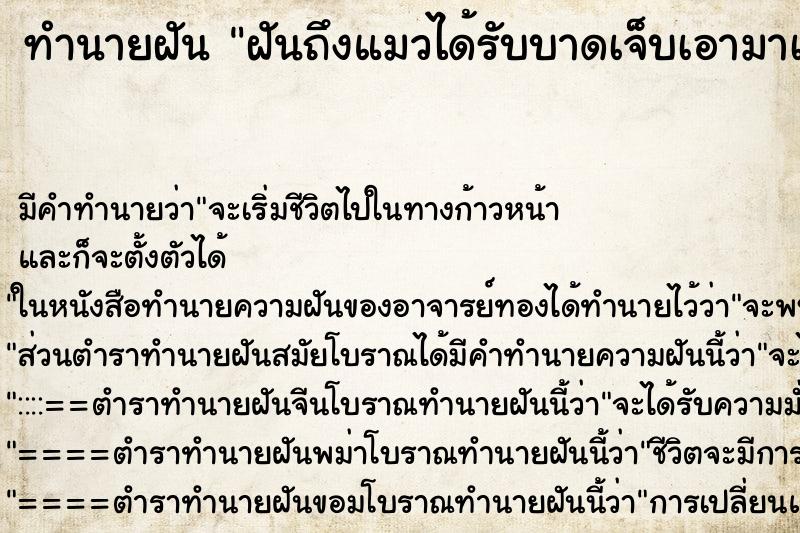 ทำนายฝันฝันถึงแมวได้รับบาดเจ็บเอามาเลี้ยง ทำนายฝันทำนายฝันฝันถึงแมวได้รับบาดเจ็บเอามาเลี้ยง
