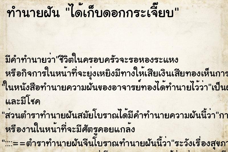 ทำนายฝัน ได้เก็บดอกกระเจี๊ยบ ทำนายฝัน ได้เก็บดอกกระเจี๊ยบ