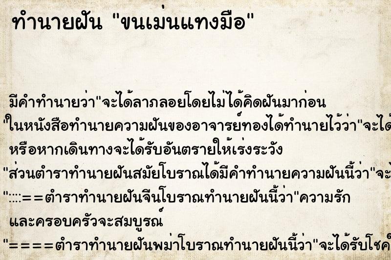 ทำนายฝัน ขนเม่นแทงมือ ทำนายฝัน ขนเม่นแทงมือ