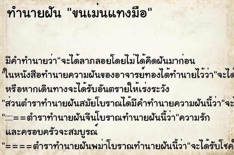 ทำนายฝัน ขนเม่นแทงมือ ตำราโบราณ แม่นที่สุดในโลก