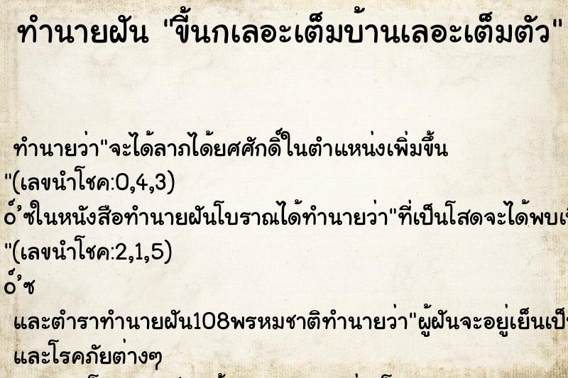ทำนายฝัน ขี้นกเลอะเต็มบ้านเลอะเต็มตัว ทำนายฝัน ขี้นกเลอะเต็มบ้านเลอะเต็มตัว