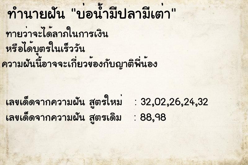 ทำนายฝัน บ่อน้ำมีปลามีเต่า ทำนายฝัน บ่อน้ำมีปลามีเต่า