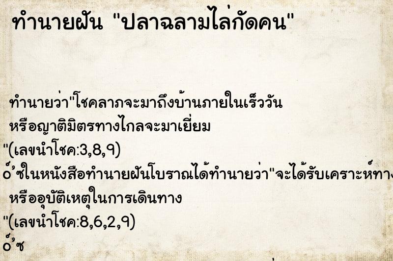 ทำนายฝันทำนายฝันปลาฉลามไล่กัดคน