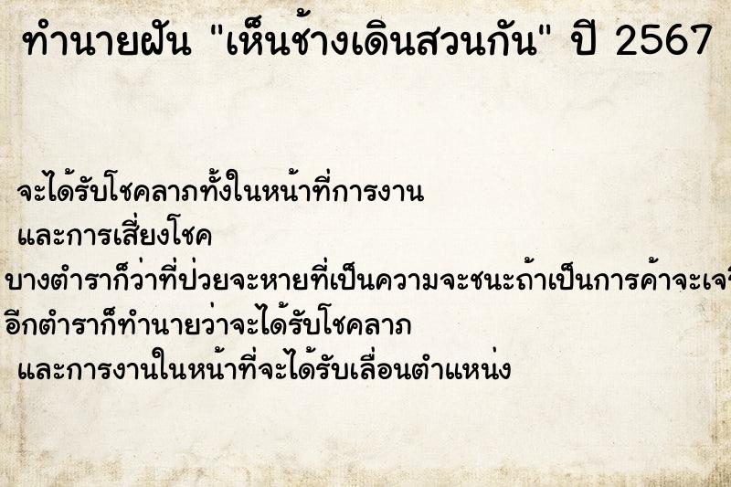 ทำนายฝันเห็นช้างเดินสวนกัน ทำนายฝันทำนายฝันเห็นช้างเดินสวนกัน