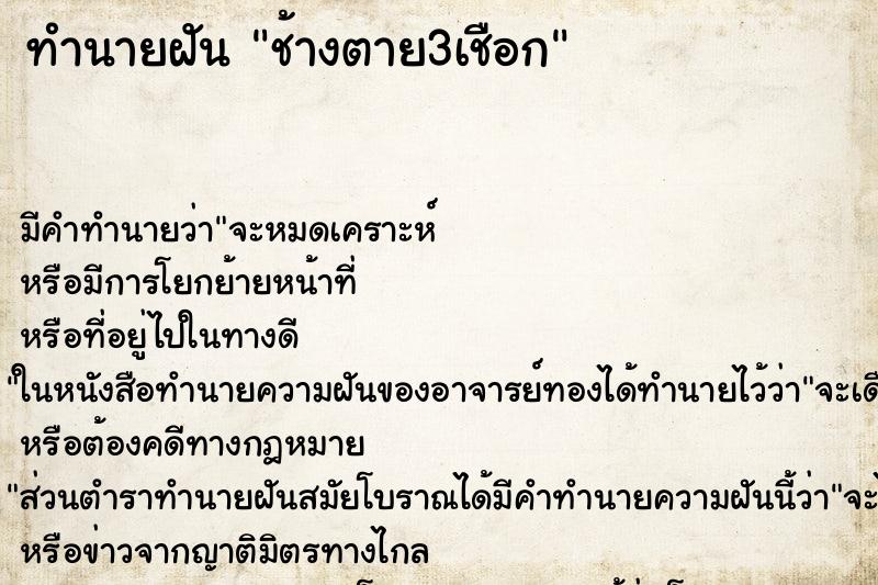 ทำนายฝัน ช้างตาย3เชือก ตำราโบราณ แม่นที่สุดในโลก