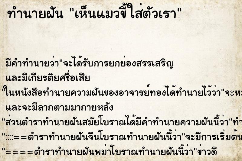 ทำนายฝัน เห็นแมวขี้ใส่ตัวเรา ทำนายฝัน เห็นแมวขี้ใส่ตัวเรา