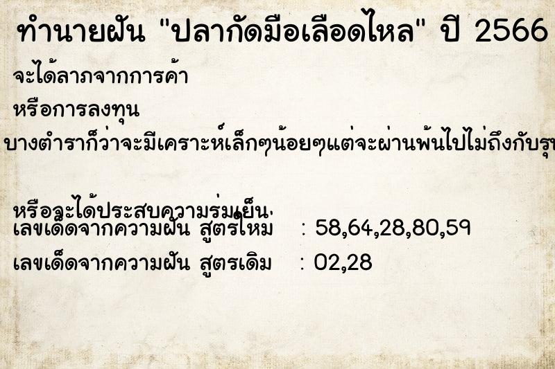 ทำนายฝัน ปลากัดมือเลือดไหล ทำนายฝัน ปลากัดมือเลือดไหล
