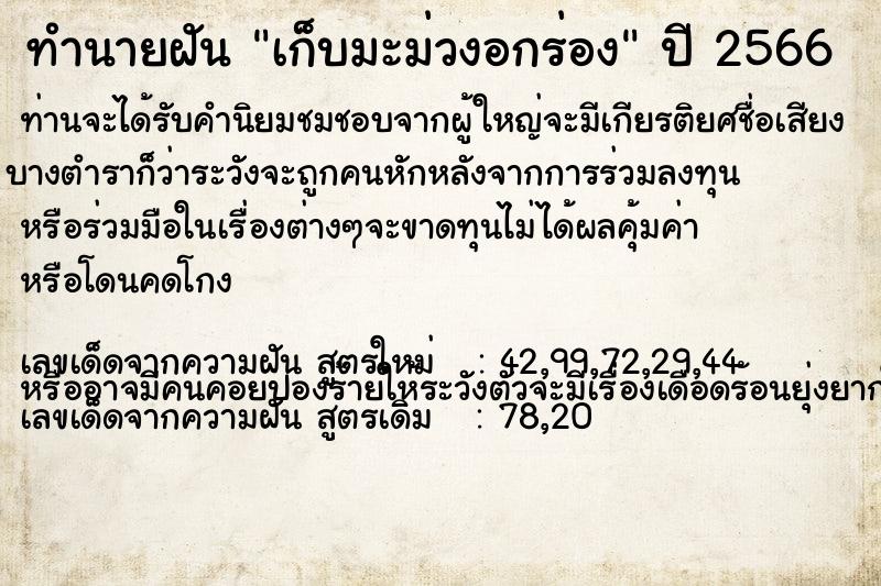 ทำนายฝันทำนายฝันเก็บมะม่วงอกร่อง