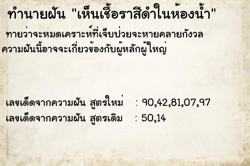 ทำนายฝัน เห็นเชื้อราสีดำในห้องน้ำ ทำนายฝัน เห็นเชื้อราสีดำในห้องน้ำ