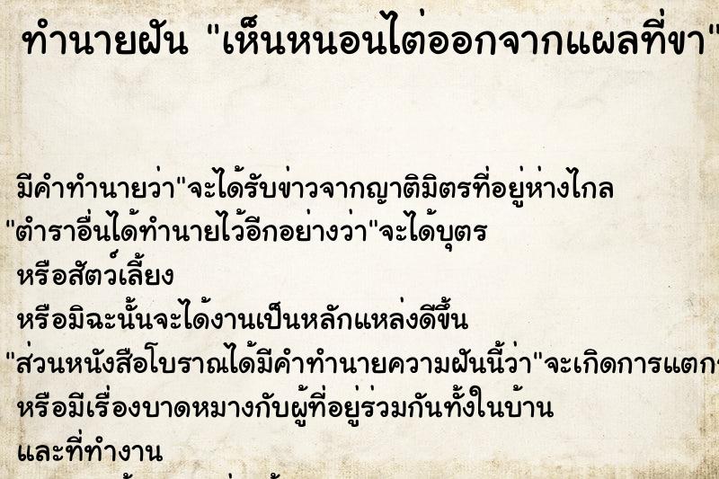 ทำนายฝัน เห็นหนอนไต่ออกจากแผลที่ขา ทำนายฝัน เห็นหนอนไต่ออกจากแผลที่ขา