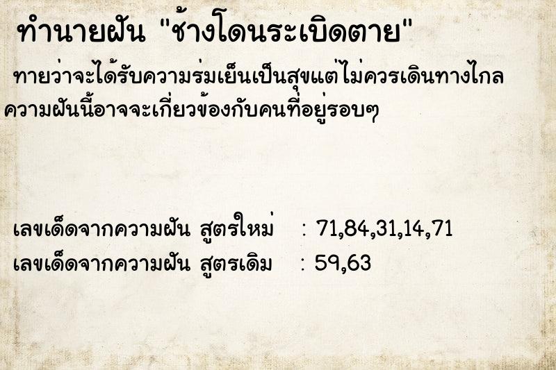 ทำนายฝันช้างโดนระเบิดตาย ทำนายฝันทำนายฝันช้างโดนระเบิดตาย
