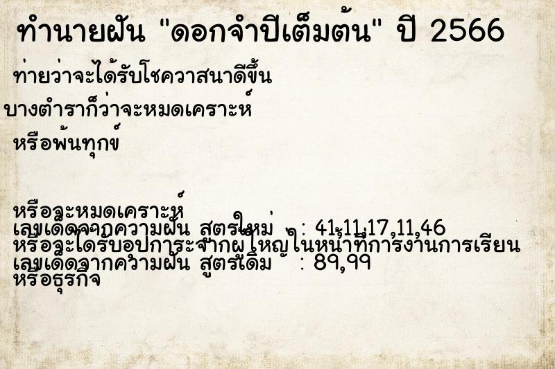 ทำนายฝันดอกจำปีเต็มต้น ทำนายฝันทำนายฝันดอกจำปีเต็มต้น