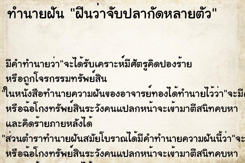 ทำนายฝัน ฝีนว่าจับปลากัดหลายตัว ตำราโบราณ แม่นที่สุดในโลก