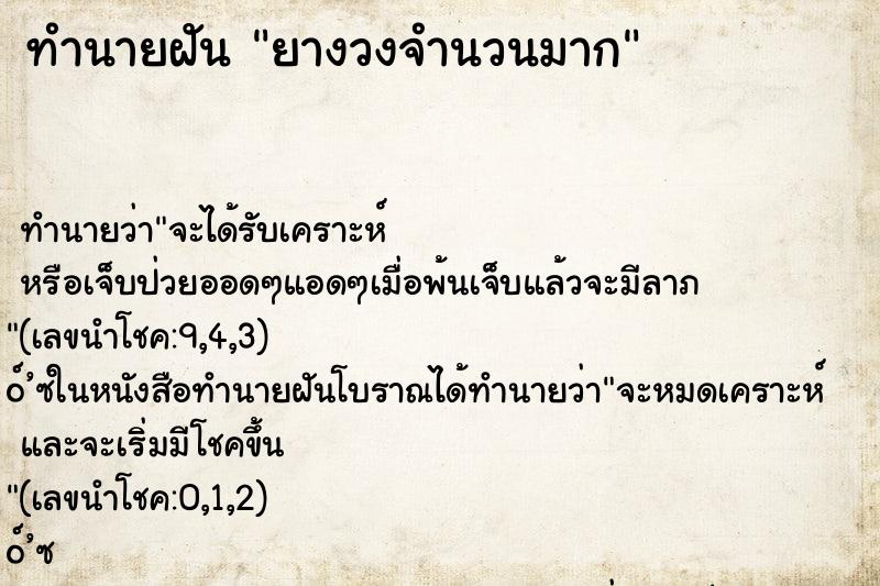 ทำนายฝันทำนายฝันยางวงจำนวนมาก