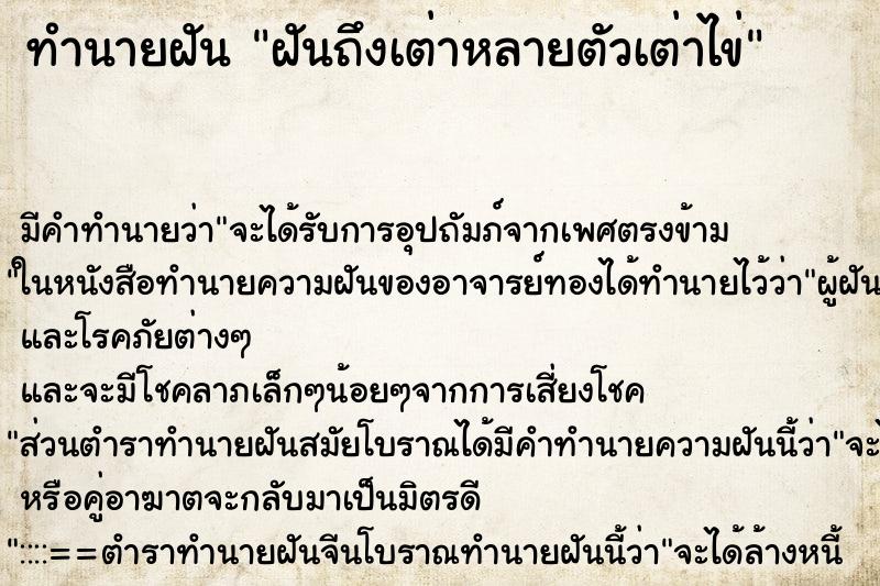 ทำนายฝันฝันถึงเต่าหลายตัวเต่าไข่ ทำนายฝันทำนายฝันฝันถึงเต่าหลายตัวเต่าไข่