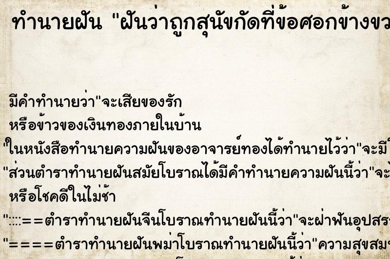 ทำนายฝันฝันว่าถูกสุนัขกัดที่ข้อศอกข้างขวา ทำนายฝันทำนายฝันฝันว่าถูกสุนัขกัดที่ข้อศอกข้างขวา
