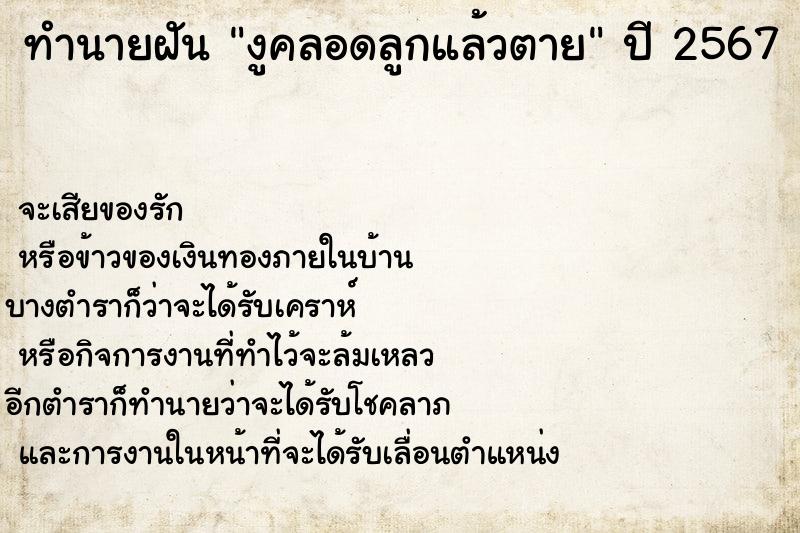 ทำนายฝันทำนายฝันงูคลอดลูกแล้วตาย