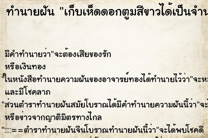 ทำนายฝันเก็บเห็ดดอกตูมสีขาวได้เป็นจำนวนมาก ทำนายฝันทำนายฝันเก็บเห็ดดอกตูมสีขาวได้เป็นจำนวนมาก
