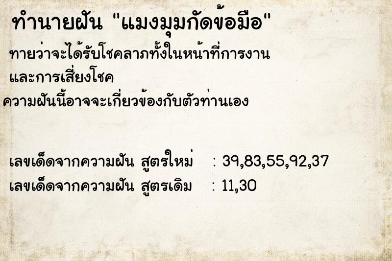 ทำนายฝัน แมงมุมกัดข้อมือ ทำนายฝัน แมงมุมกัดข้อมือ