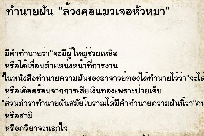 ทำนายฝันทำนายฝันล้วงคอแมวเจอหัวหมา