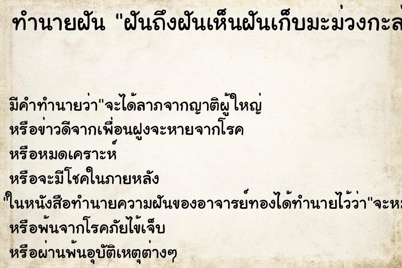 ทำนายฝันฝันถึงฝันเห็นฝันเก็บมะม่วงกะล่อนใส่ถัง ทำนายฝันทำนายฝันฝันถึงฝันเห็นฝันเก็บมะม่วงกะล่อนใส่ถัง