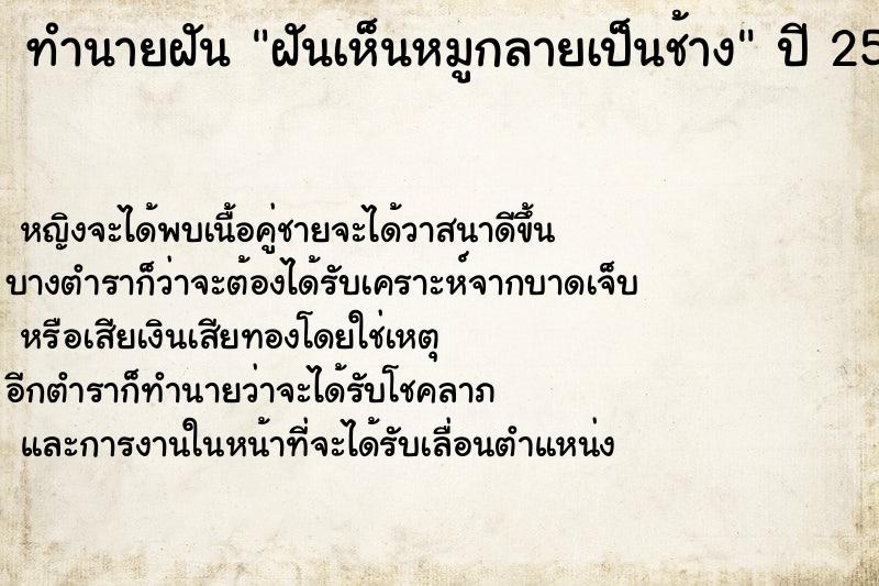 ทำนายฝันฝันเห็นหมูกลายเป็นช้าง ทำนายฝันทำนายฝันฝันเห็นหมูกลายเป็นช้าง