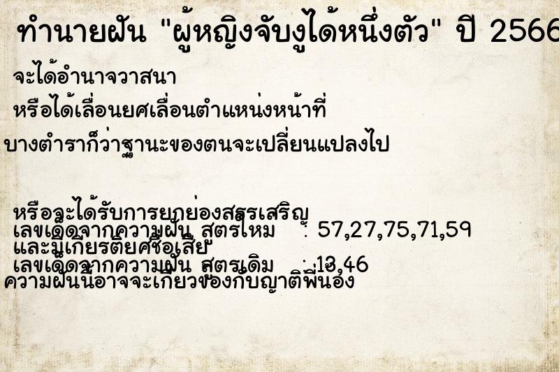 ทำนายฝันผู้หญิงจับงูได้หนึ่งตัว ทำนายฝันทำนายฝันผู้หญิงจับงูได้หนึ่งตัว