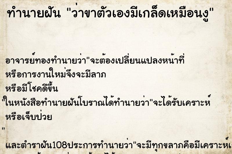 ทำนายฝันว่าขาตัวเองมีเกล็ดเหมือนงู ทำนายฝันทำนายฝันว่าขาตัวเองมีเกล็ดเหมือนงู