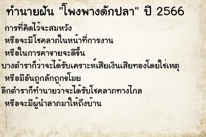 ทำนายฝันโพงพางดักปลา ทำนายฝันทำนายฝันโพงพางดักปลา