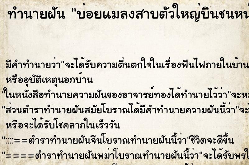 ทำนายฝันทำนายฝันบ่อยแมลงสาบตัวใหญ่บินชนหน้า