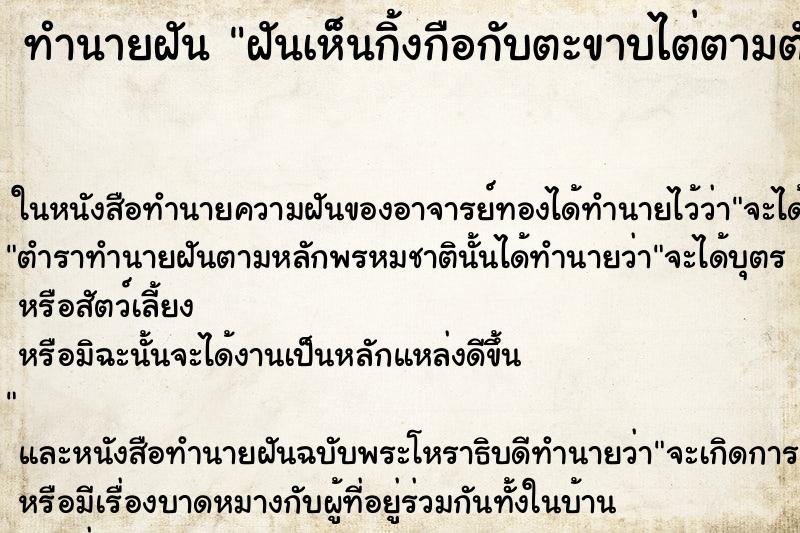 ทำนายฝันฝันเห็นกิ้งกือกับตะขาบไต่ตามตัว ทำนายฝันทำนายฝันฝันเห็นกิ้งกือกับตะขาบไต่ตามตัว