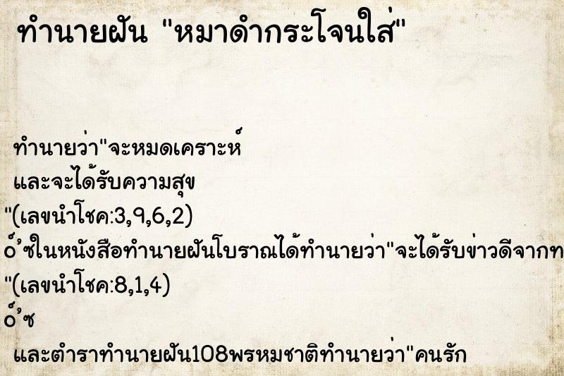 ทำนายฝัน หมาดำกระโจนใส่ ตำราโบราณ แม่นที่สุดในโลก