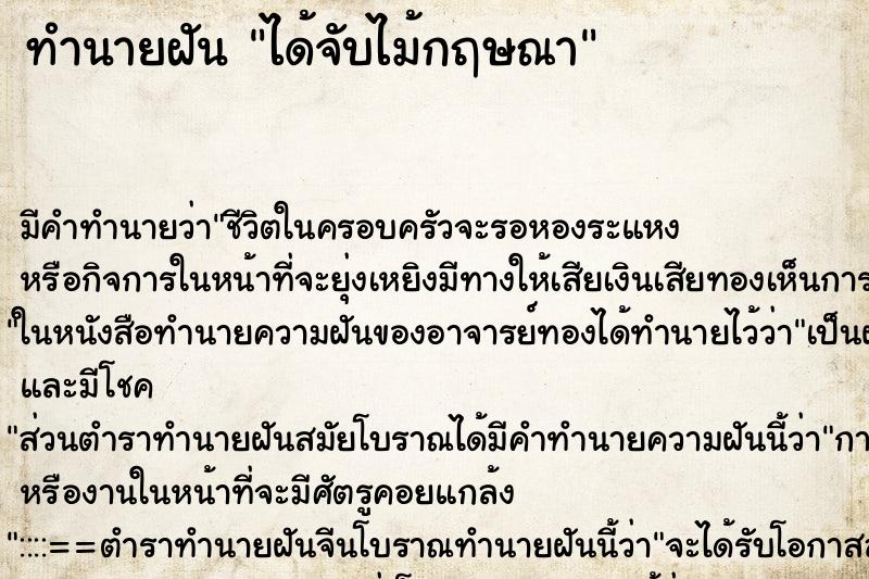 ทำนายฝันทำนายฝันได้จับไม้กฤษณา