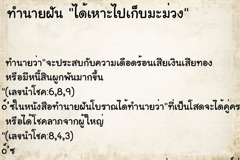 ทำนายฝันได้เหาะไปเก็บมะม่วง ทำนายฝันทำนายฝันได้เหาะไปเก็บมะม่วง