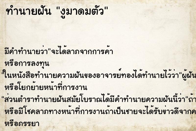 ทำนายฝัน งูมาดมตัว ตำราโบราณ แม่นที่สุดในโลก