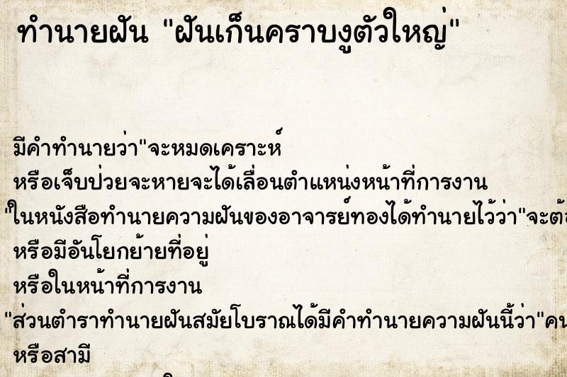 ทำนายฝันฝันเก็นคราบงูตัวใหญ่ ทำนายฝันทำนายฝันฝันเก็นคราบงูตัวใหญ่