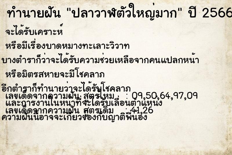 ทำนายฝัน ปลาวาฬตัวใหญ่มาก แม่นๆ ฟรี ด้วยตำราหนังสือทำนายฝันโบราณ ทำนายฝันปลาวาฬตัวใหญ่มาก